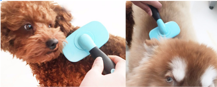 Dog Comb Image 6