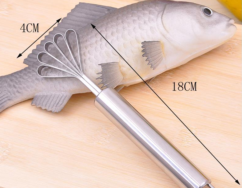 Stainless Steel Coconut and Fish Scale Scraper