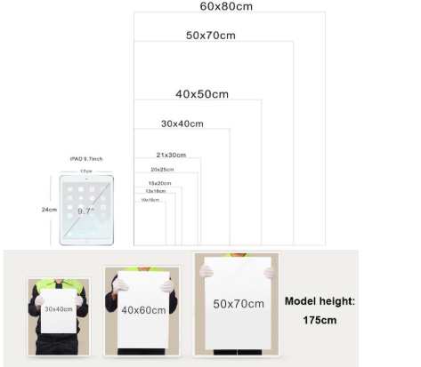 Elegant Woman Canvas Art