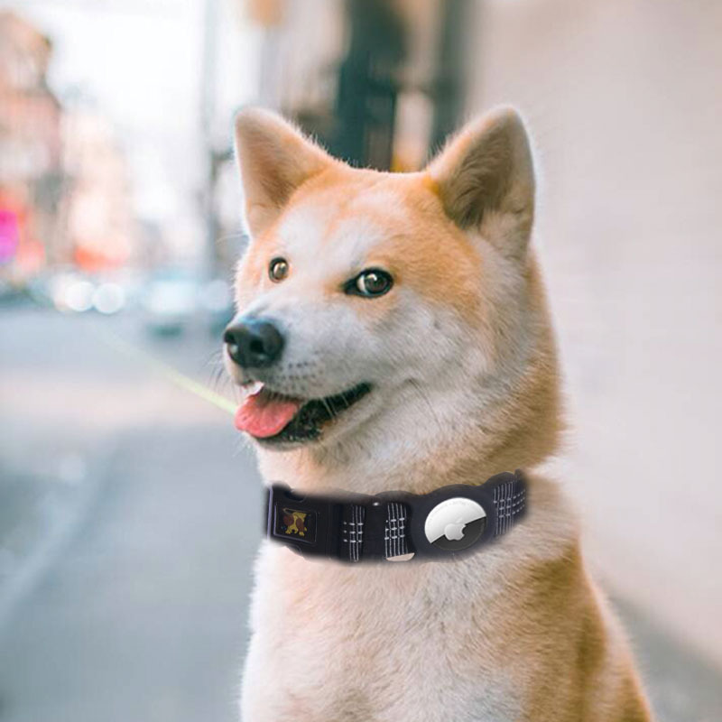 Pet Tracker in Pink