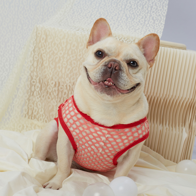 Hollow Mesh Dog Vest - Image 17