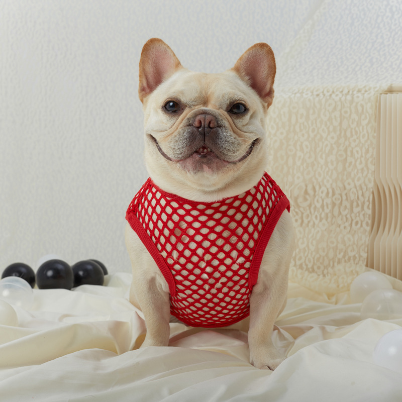 Hollow Mesh Dog Vest - Image 12