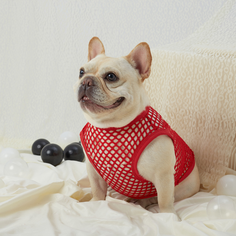 Hollow Mesh Dog Vest - Image 13
