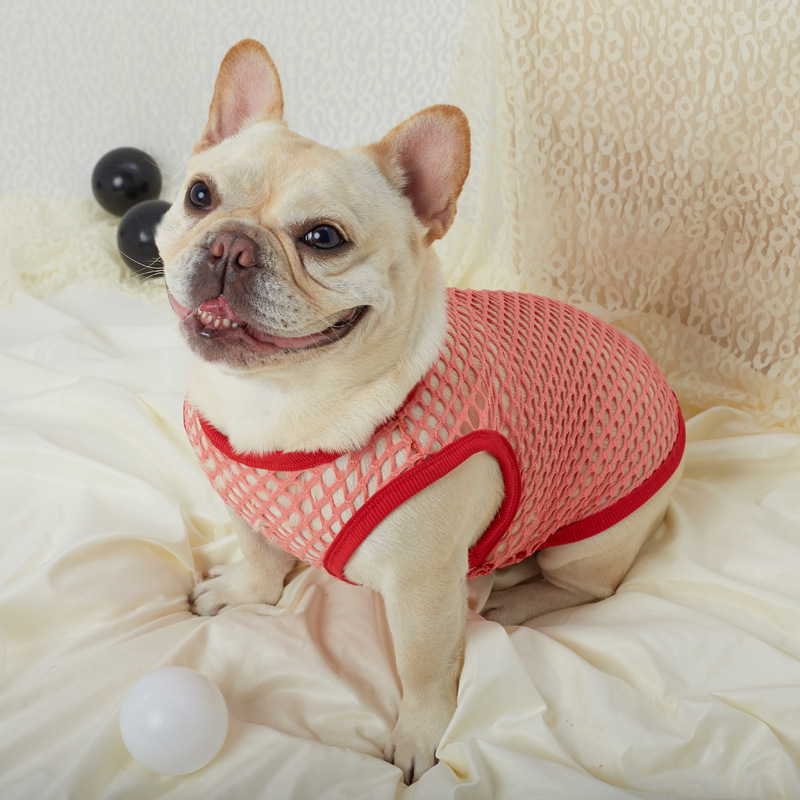 Hollow Mesh Dog Vest - Image 18