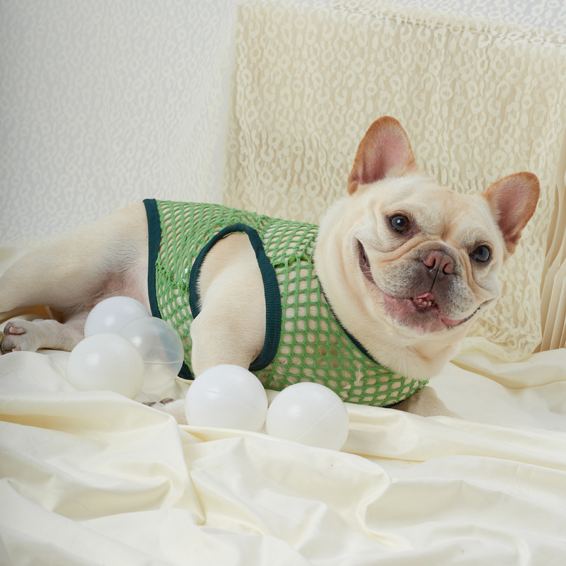 Hollow Mesh Dog Vest - Image 23