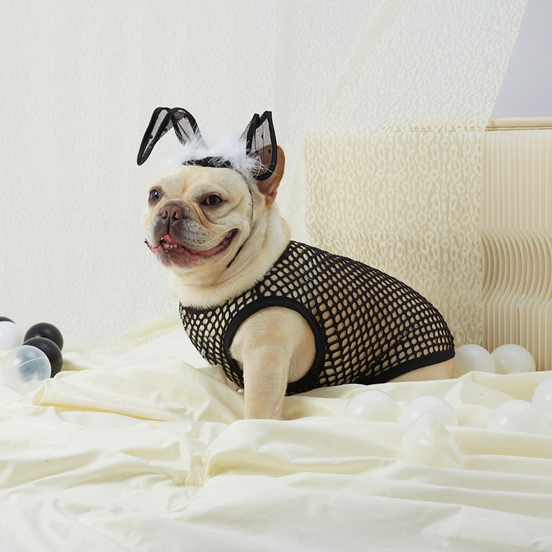 Hollow Mesh Dog Vest - Image 4