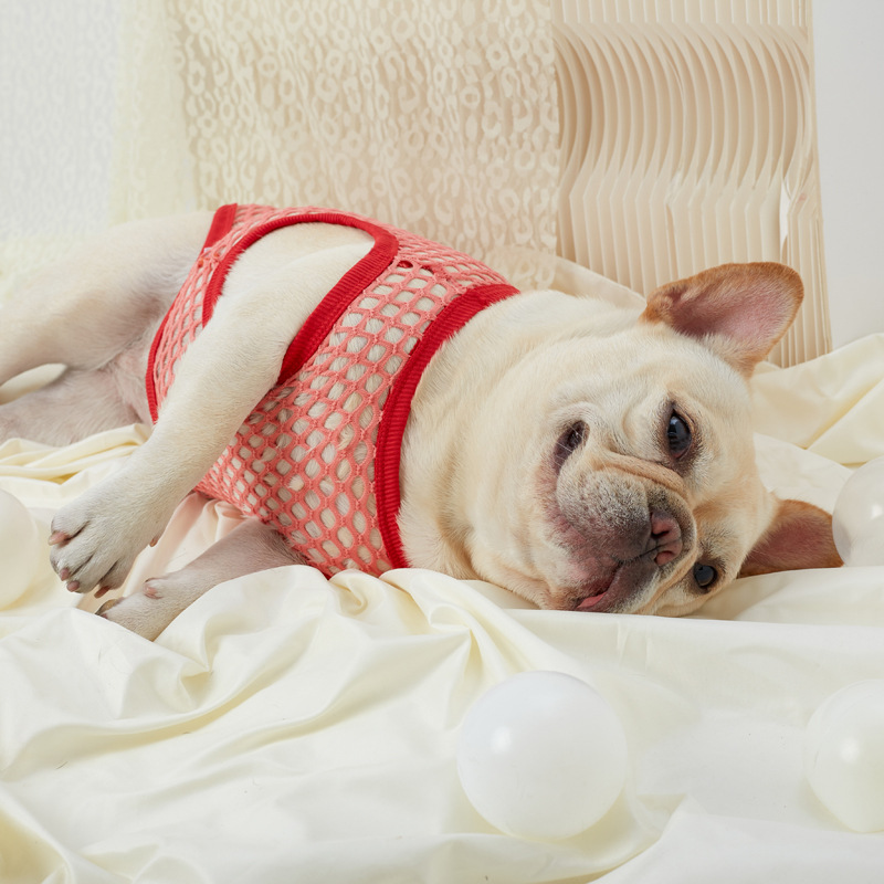 Hollow Mesh Dog Vest - Image 16