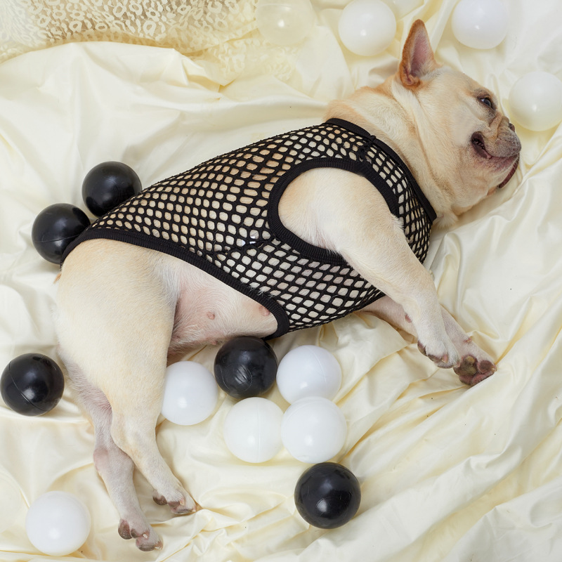 Hollow Mesh Dog Vest - Image 7