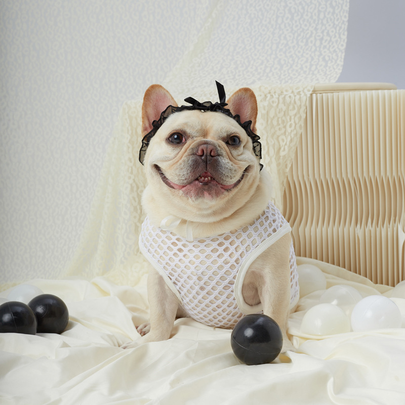 Hollow Mesh Dog Vest - Image 11
