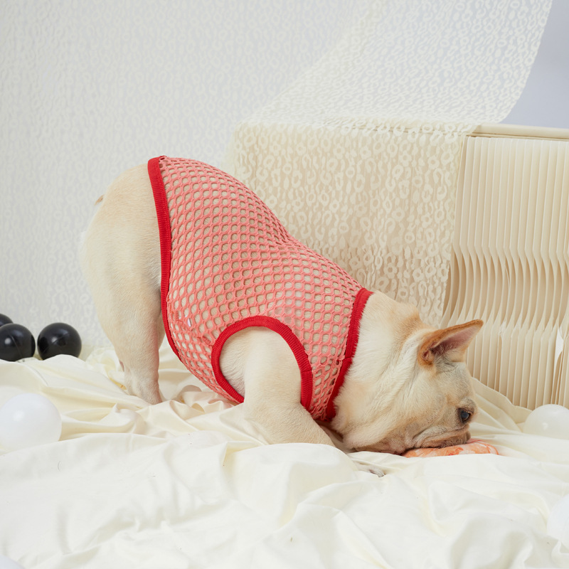 Hollow Mesh Dog Vest - Image 19