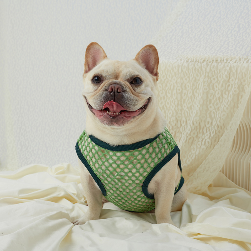 Hollow Mesh Dog Vest - Image 21