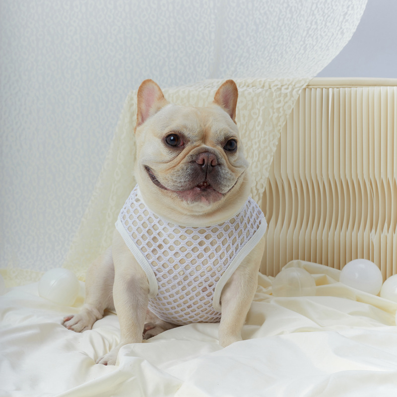 Hollow Mesh Dog Vest - Image 8