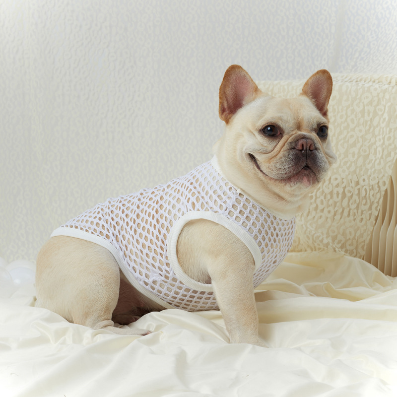 Hollow Mesh Dog Vest - Image 10
