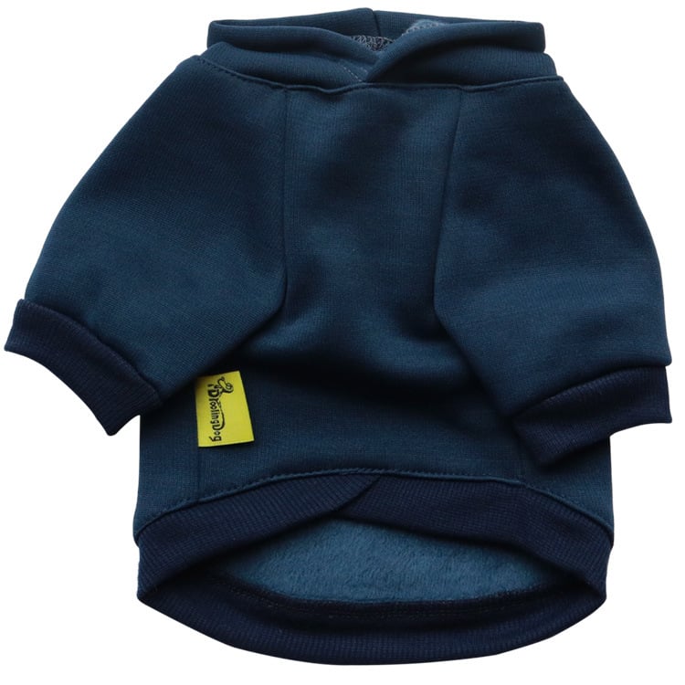 Dog in Fleece Clothes