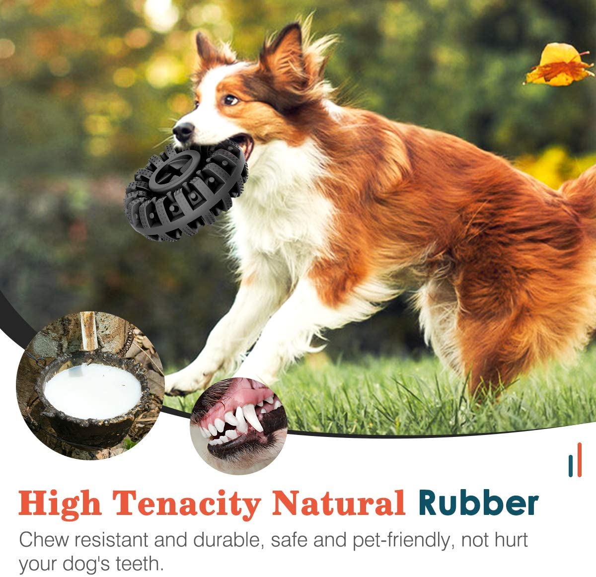 Dog Toy Image 6
