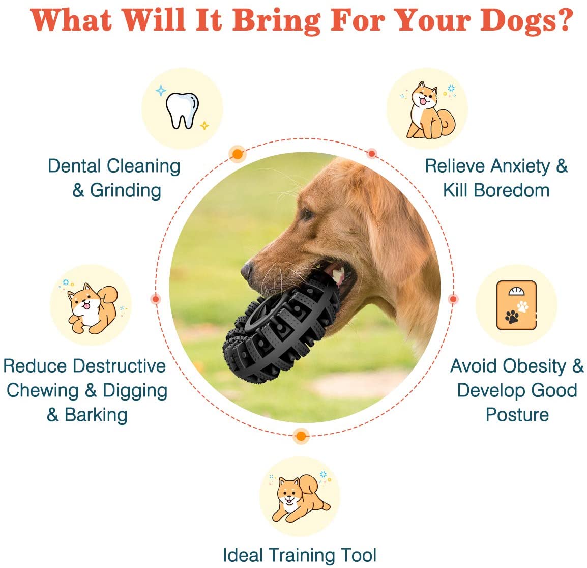 Dog Toy Image 2