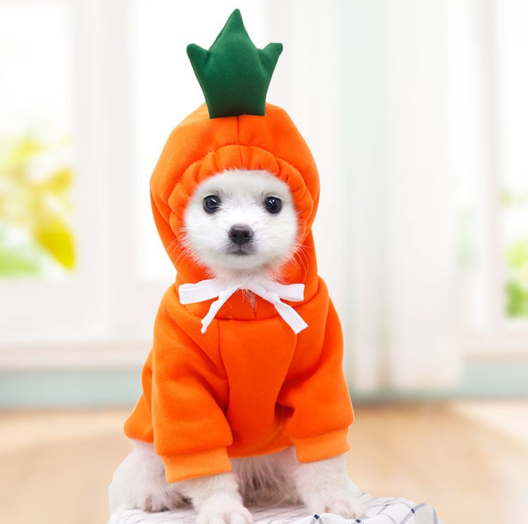 Pet Clothing Style 2