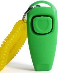 Perfect for Outdoor Adventures
