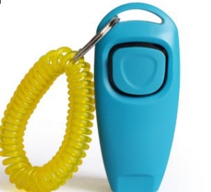 Compact and Portable Design