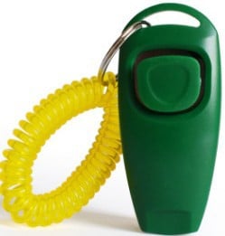 Easy to Use Whistle