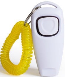 Multifunctional Pet Training Tool