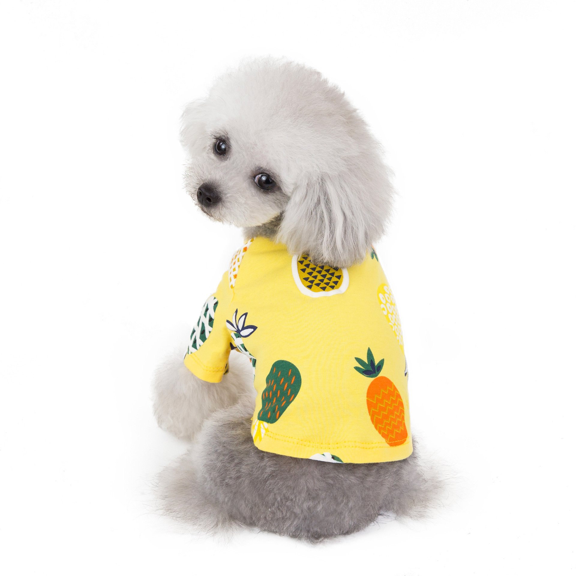 Happy Dog Wearing Skirt