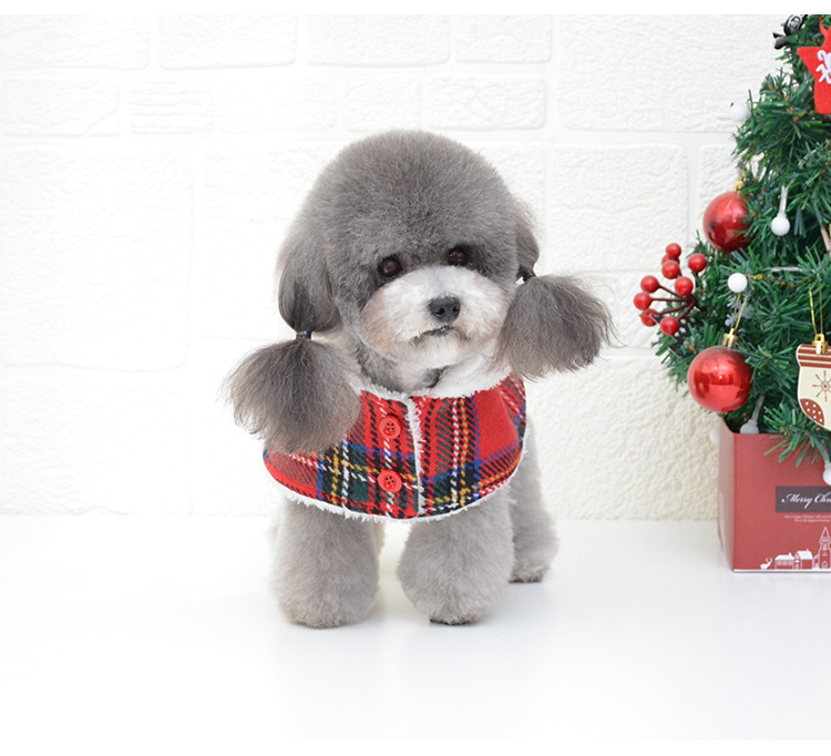 Cute Dog Sweater