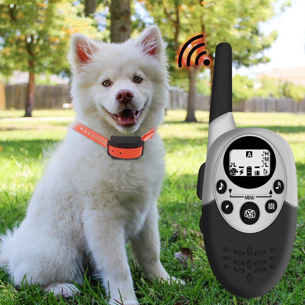 Remote Dog Trainer Image 1