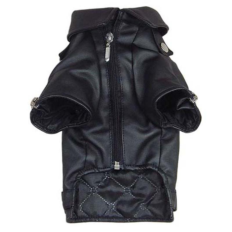 Dog in leather jacket