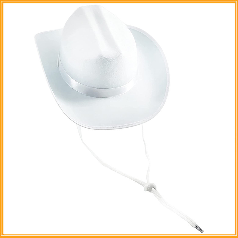Western Cowboy Hat 2