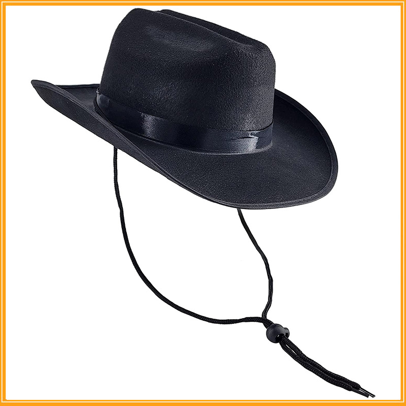 Western Cowboy Hat 1