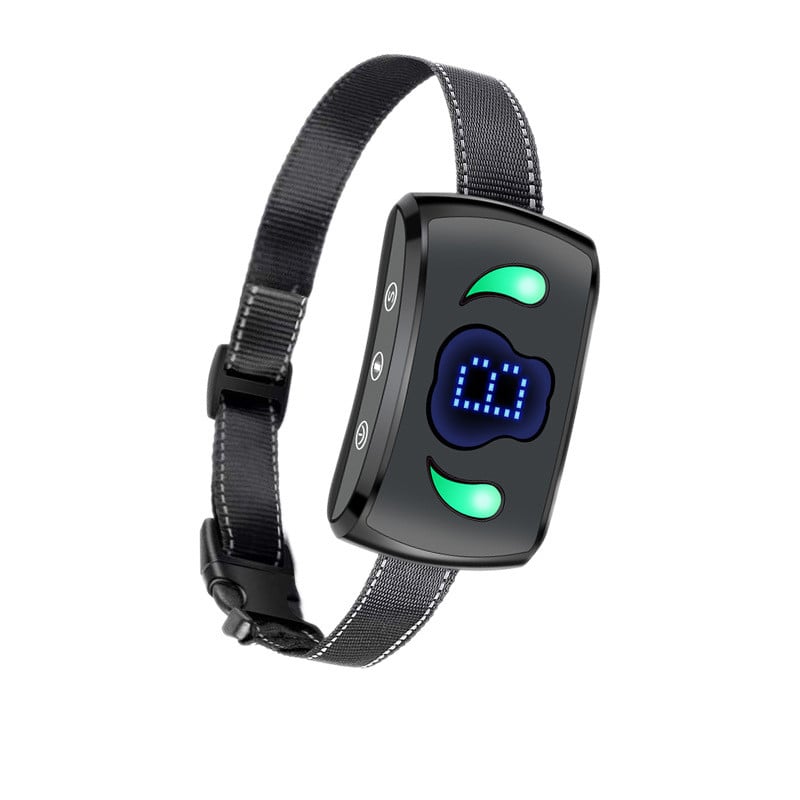 Stylish Dog Collar