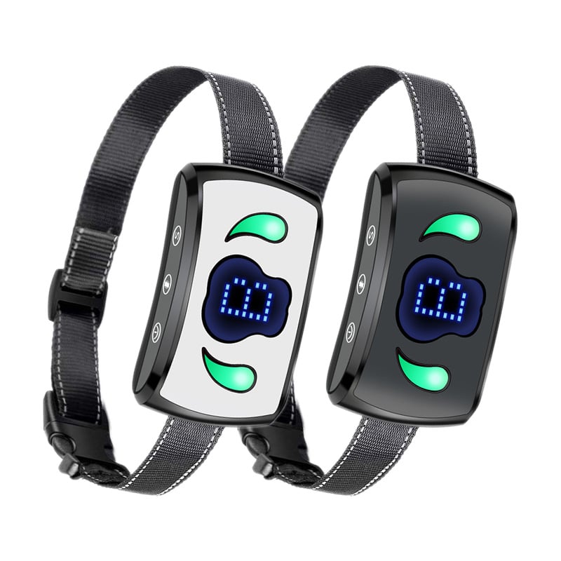 Dog Collar in Various Colors
