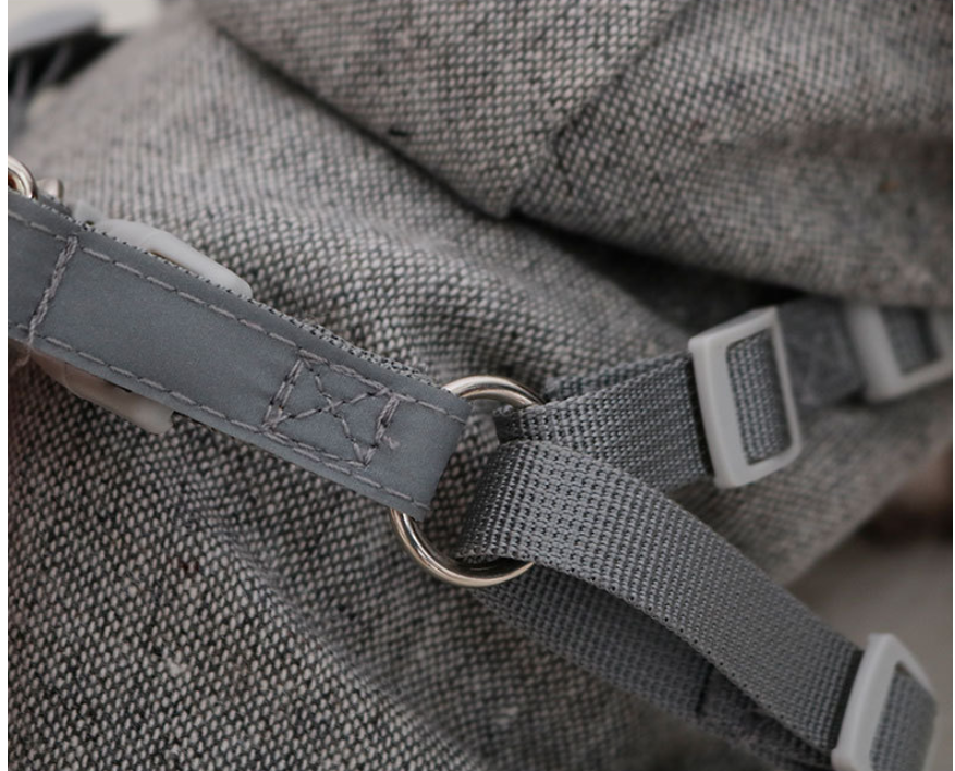 Pet Sweatshirt in Gray