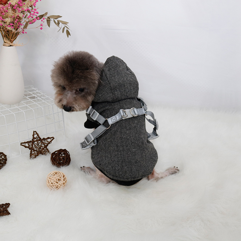 Cozy Pet Look