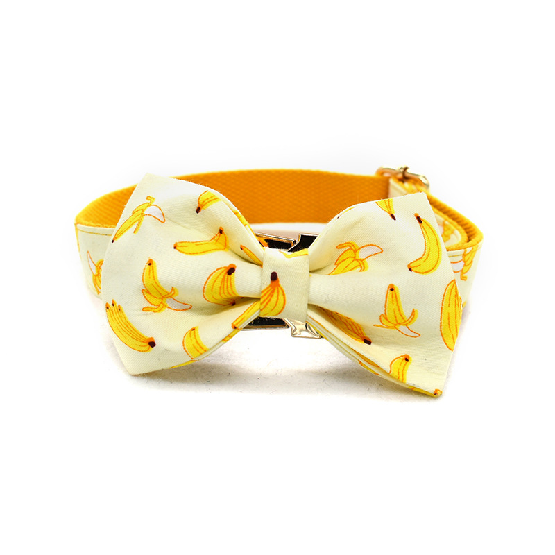 Pet Accessories