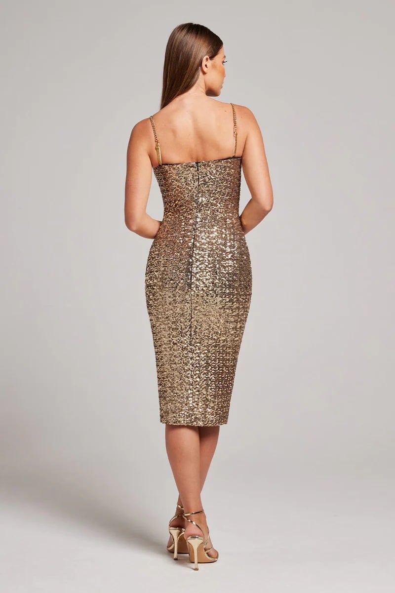 Dress Back View