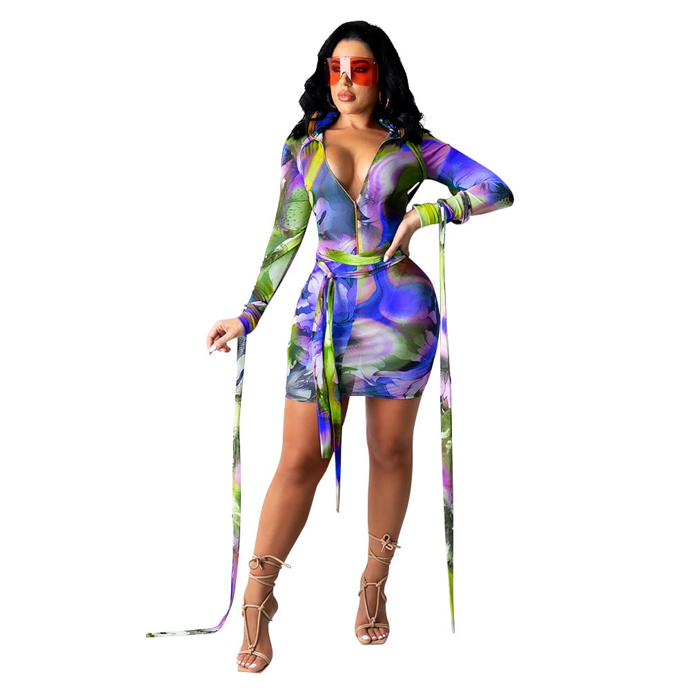 Women's Mesh See-through Printed Dress