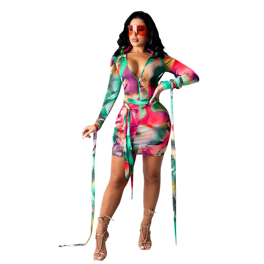 Women's Mesh See-through Printed Dress