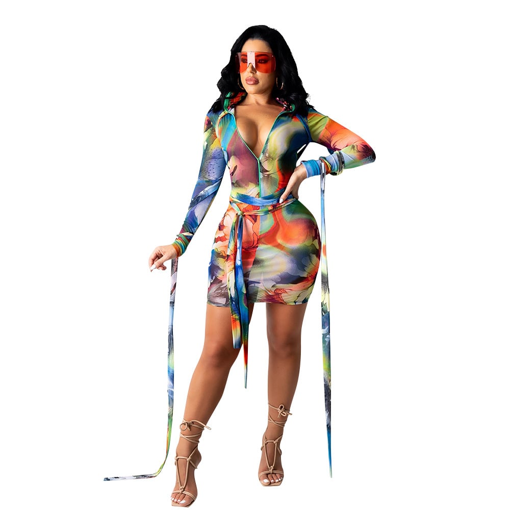 Women's Mesh See-through Printed Dress