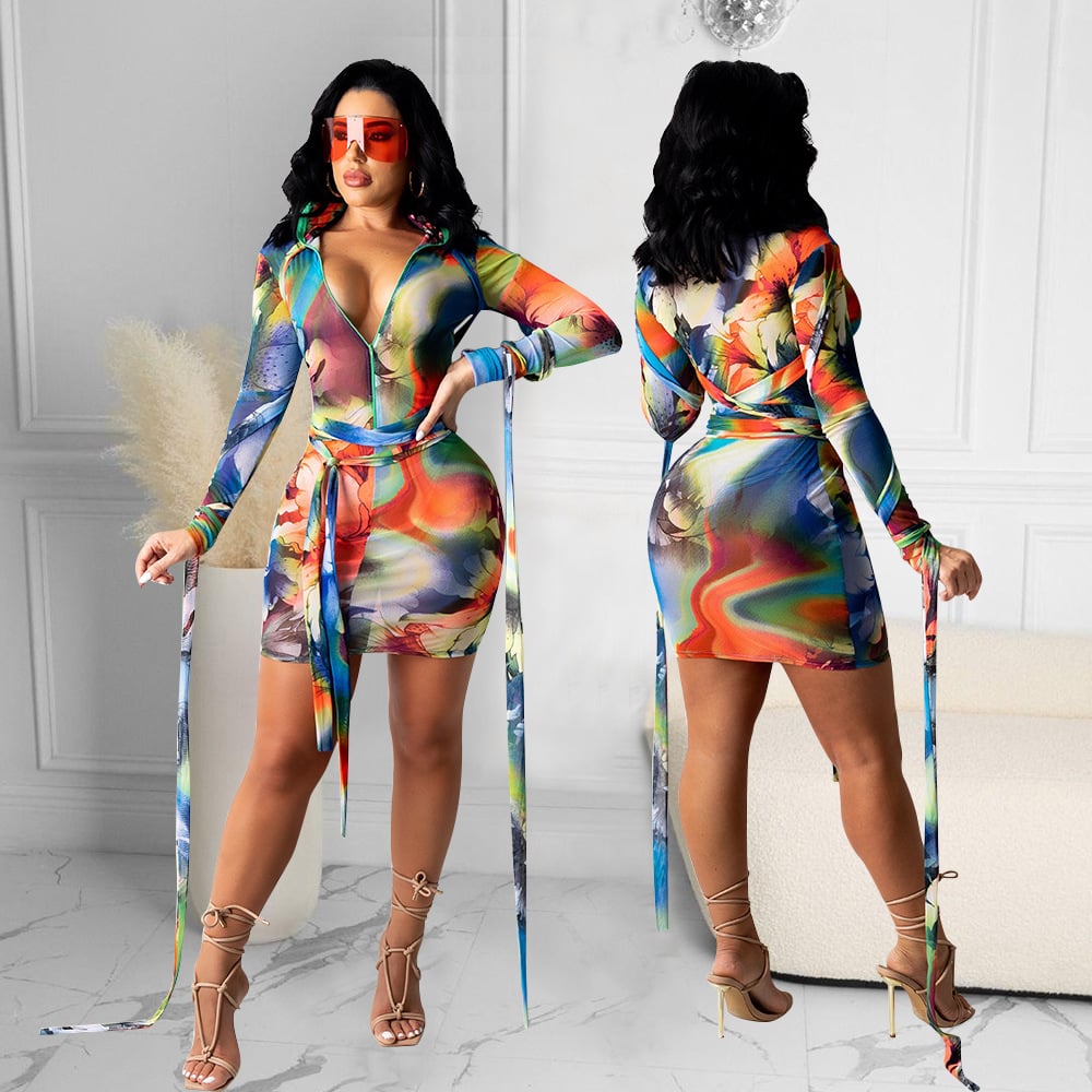 Women's Mesh See-through Printed Dress