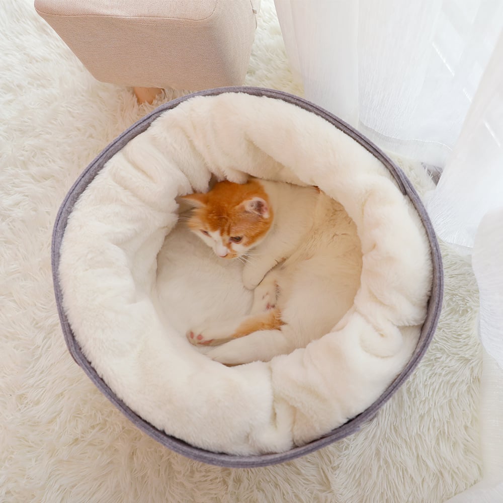 Comfortable Cat Bed