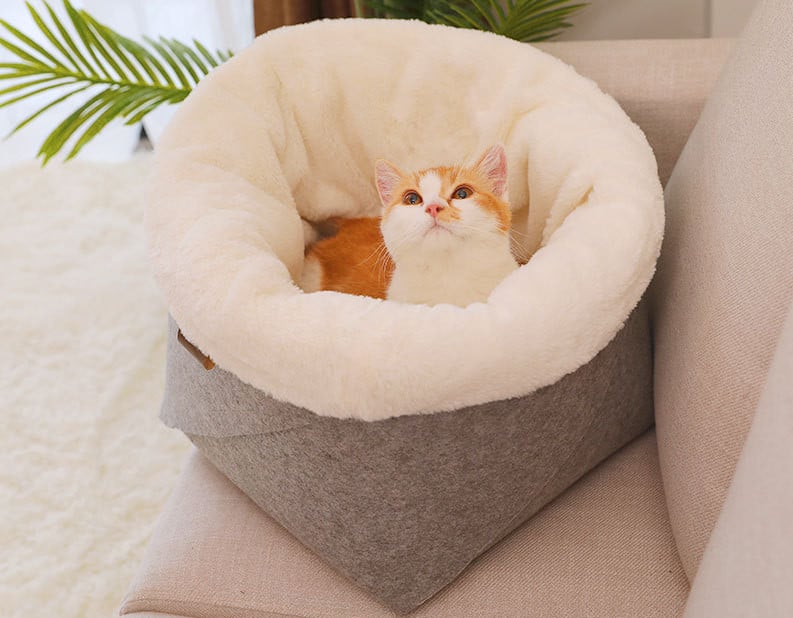 Cozy Cat Bed