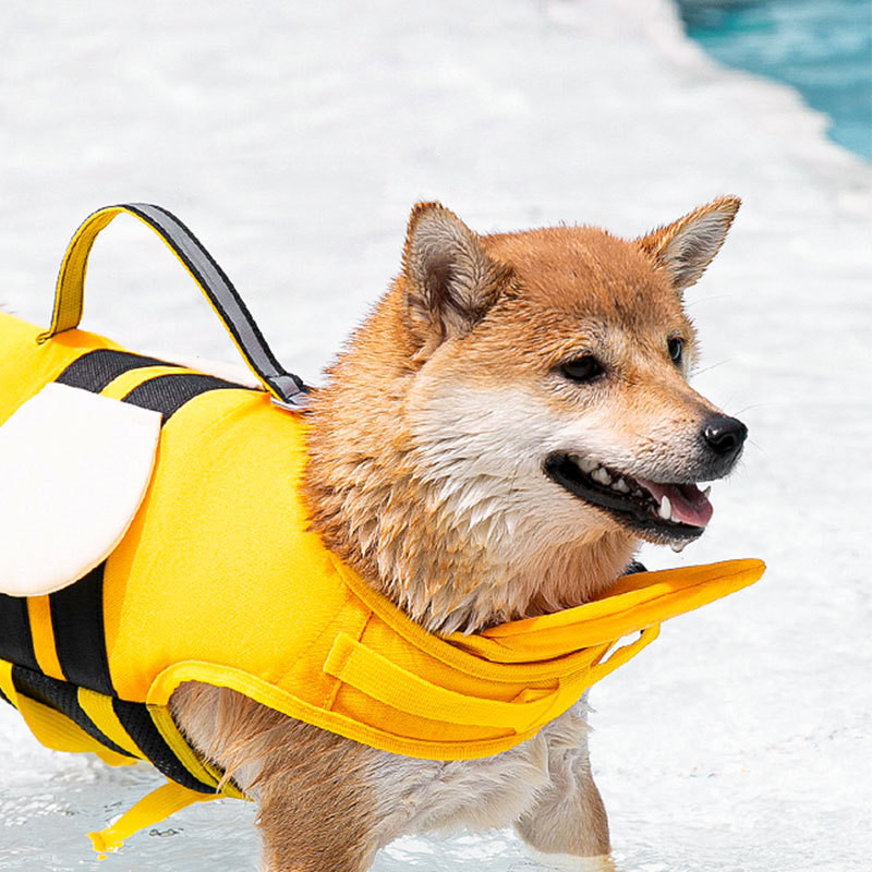 Blue Yellow Dog Life Jacket