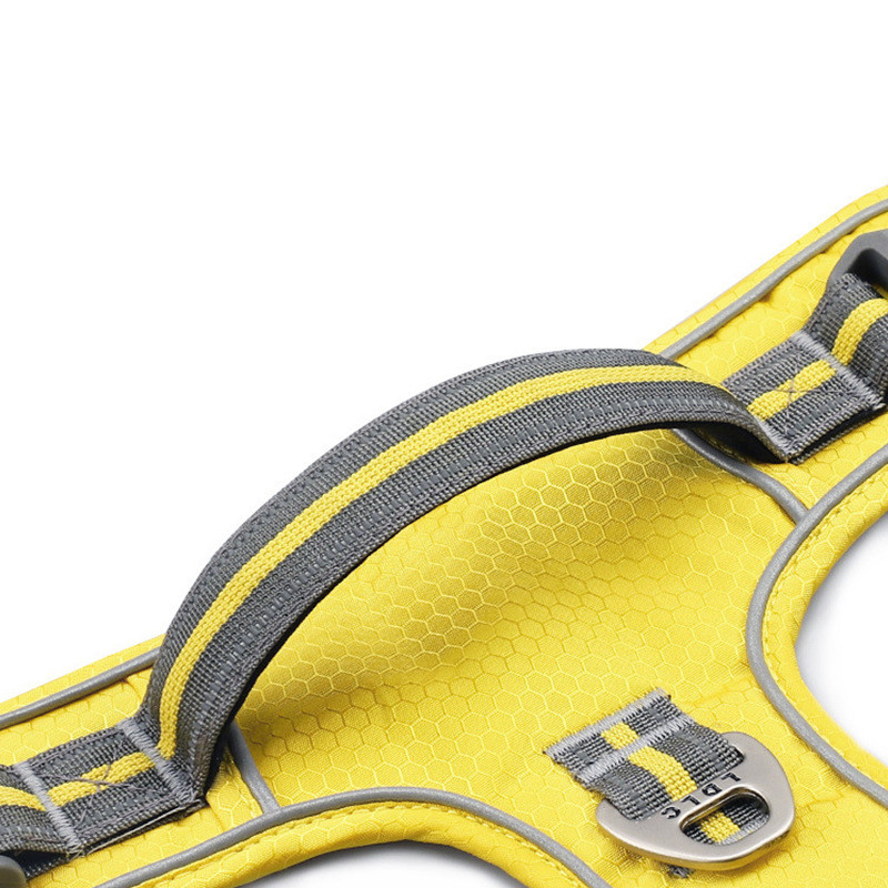 Pet Harness Image 6