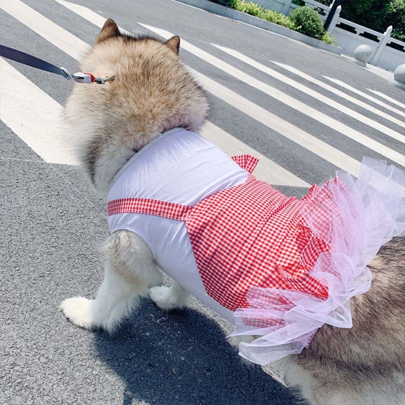 Dog in Yellow Princess Costume