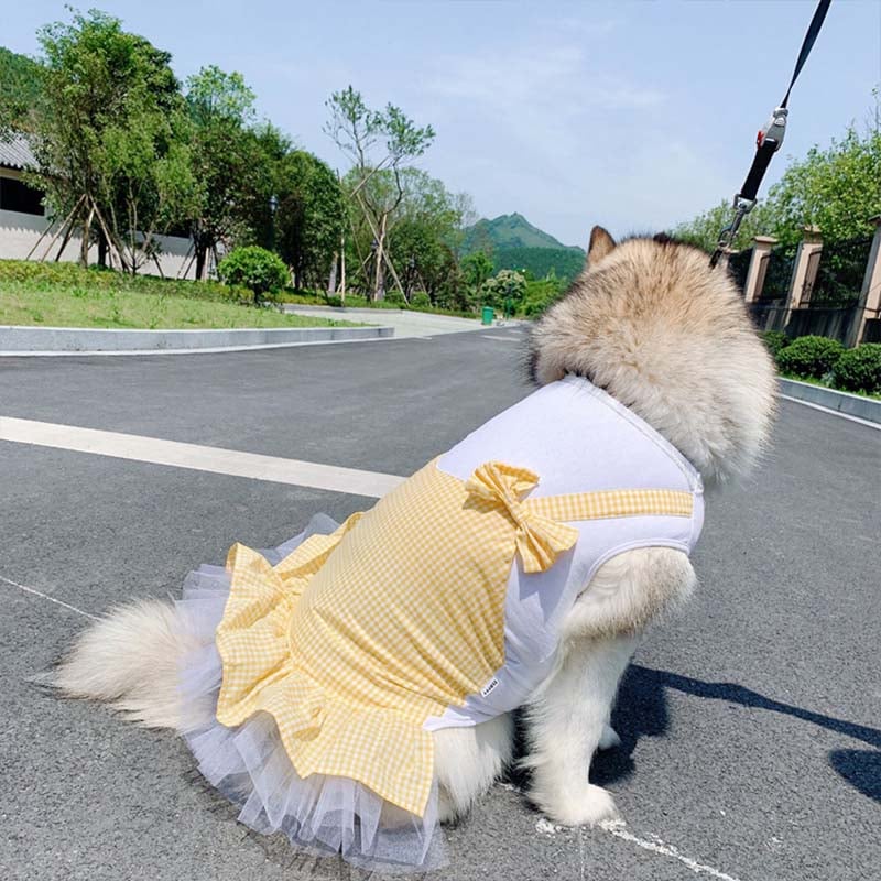 Dog in Red Princess Costume