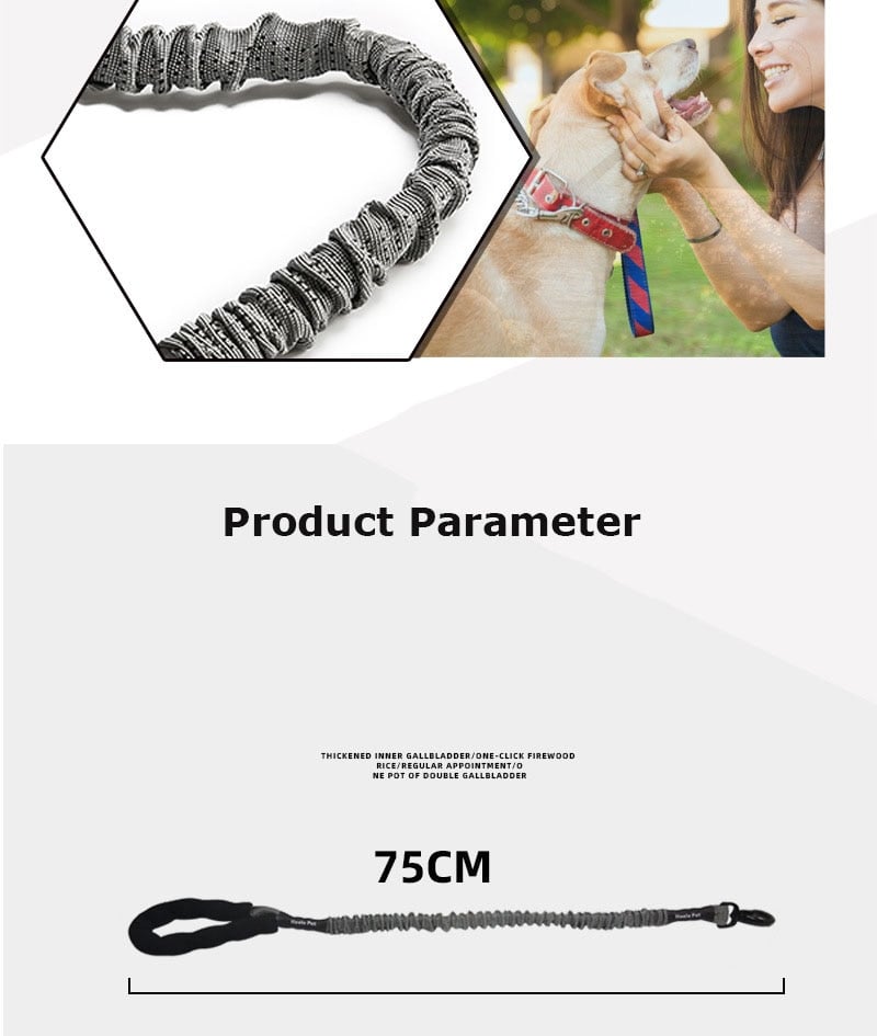 Large Dog Elastic Traction Belt Image 3