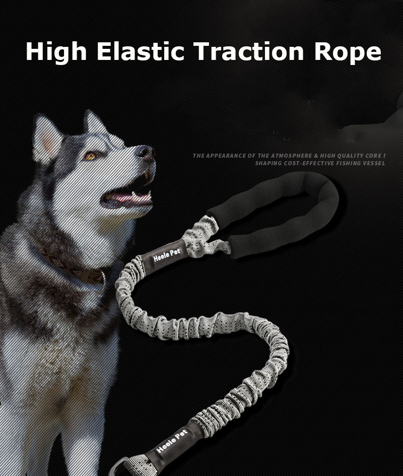 Large Dog Elastic Traction Belt Image 4