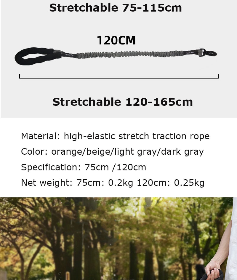 Large Dog Elastic Traction Belt Image 2